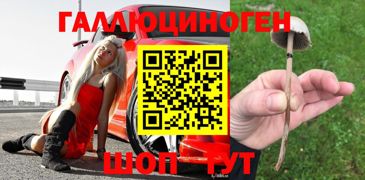 Пушкино  Галлюциногенные грибы мицелий  Вход с VPN  Псилоцибиновые грибы Psilocybine cubensis 